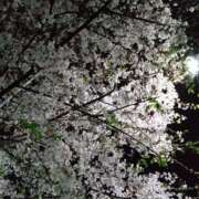 ヒメ日記 2025/04/03 09:17 投稿 ほんわかする『とき』 ESSENCE