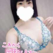 ヒメ日記 2025/04/21 08:02 投稿 ほんわかする『とき』 ESSENCE