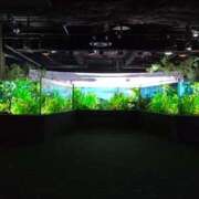 ヒメ日記 2025/07/19 17:02 投稿 ほんわかする『とき』 ESSENCE