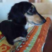 ヒメ日記 2025/08/24 14:03 投稿 ほんわかする『とき』 ESSENCE