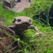 ヒメ日記 2025/10/23 08:01 投稿 ほんわかする『とき』 ESSENCE