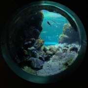 ヒメ日記 2025/10/23 10:02 投稿 ほんわかする『とき』 ESSENCE