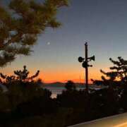 ヒメ日記 2025/11/30 18:50 投稿 ほんわかする『とき』 ESSENCE