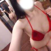 ヒメ日記 2025/12/30 17:56 投稿 ほんわかする『とき』 ESSENCE