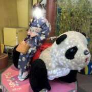 ヒメ日記 2025/12/31 08:19 投稿 ほんわかする『とき』 ESSENCE