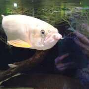 ヒメ日記 2026/01/03 12:04 投稿 ほんわかする『とき』 ESSENCE