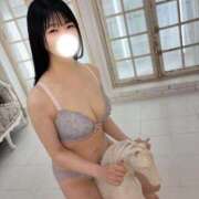 ヒメ日記 2026/03/20 14:12 投稿 ほんわかする『とき』 ESSENCE