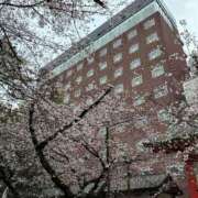 ヒメ日記 2026/04/04 15:17 投稿 ほんわかする『とき』 ESSENCE