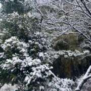 ヒメ日記 2026/02/13 22:04 投稿 さらさ シャロン横浜