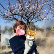 ヒメ日記 2025/03/03 19:33 投稿 カナ Versailles