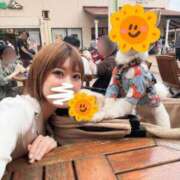 ヒメ日記 2025/04/20 20:49 投稿 カナ Versailles