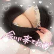 ヒメ日記 2024/12/19 14:29 投稿 みな 香川高松ちゃんこ