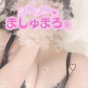 ヒメ日記 2025/02/23 02:01 投稿 みな 香川高松ちゃんこ