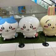 ヒメ日記 2025/05/12 10:14 投稿 悠菜(ゆな) カリビアンマッサージ 天使のゆびさき 岡山店