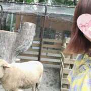 ヒメ日記 2025/05/22 14:18 投稿 悠菜(ゆな) カリビアンマッサージ 天使のゆびさき 岡山店