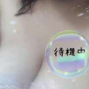 ヒメ日記 2025/04/08 19:00 投稿 すずか ぷるるん小町日本橋店