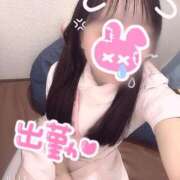 ヒメ日記 2025/02/05 10:23 投稿 はな 熊本しこたまクリニック