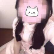 ヒメ日記 2025/03/01 09:23 投稿 はな 熊本しこたまクリニック