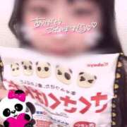 ヒメ日記 2025/04/17 13:00 投稿 はな 熊本しこたまクリニック