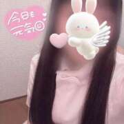 ヒメ日記 2025/04/21 10:10 投稿 はな 熊本しこたまクリニック