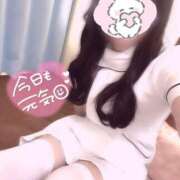 ヒメ日記 2025/05/14 10:00 投稿 はな 熊本しこたまクリニック