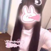 ヒメ日記 2025/06/02 10:10 投稿 はな 熊本しこたまクリニック