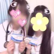 ヒメ日記 2025/06/04 17:00 投稿 はな 熊本しこたまクリニック