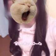 ヒメ日記 2025/06/14 09:20 投稿 はな 熊本しこたまクリニック