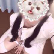 ヒメ日記 2025/06/16 14:50 投稿 はな 熊本しこたまクリニック