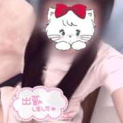 ヒメ日記 2025/06/20 10:20 投稿 はな 熊本しこたまクリニック