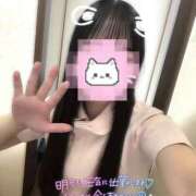 ヒメ日記 2025/07/07 00:20 投稿 はな 熊本しこたまクリニック