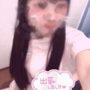 ヒメ日記 2025/07/11 10:20 投稿 はな 熊本しこたまクリニック