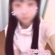 ヒメ日記 2025/07/13 09:29 投稿 はな 熊本しこたまクリニック