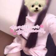 ヒメ日記 2025/07/19 19:20 投稿 はな 熊本しこたまクリニック