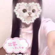 ヒメ日記 2025/07/24 09:30 投稿 はな 熊本しこたまクリニック