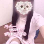 ヒメ日記 2025/07/28 12:50 投稿 はな 熊本しこたまクリニック