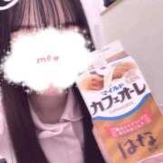 ヒメ日記 2025/07/31 13:50 投稿 はな 熊本しこたまクリニック