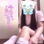 ヒメ日記 2025/08/09 18:50 投稿 はな 熊本しこたまクリニック