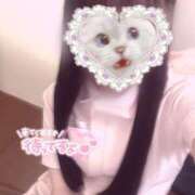 ヒメ日記 2025/08/11 10:30 投稿 はな 熊本しこたまクリニック