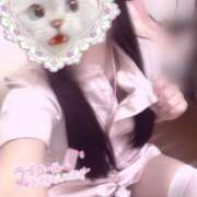 ヒメ日記 2025/08/13 00:00 投稿 はな 熊本しこたまクリニック