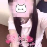 ヒメ日記 2025/08/16 13:20 投稿 はな 熊本しこたまクリニック