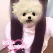 ヒメ日記 2025/08/30 09:13 投稿 はな 熊本しこたまクリニック