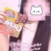 ヒメ日記 2025/09/02 15:20 投稿 はな 熊本しこたまクリニック