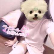 ヒメ日記 2025/09/21 09:29 投稿 はな 熊本しこたまクリニック