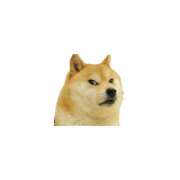 ヒメ日記 2025/09/27 13:00 投稿 はな 熊本しこたまクリニック