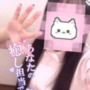 ヒメ日記 2025/10/01 13:50 投稿 はな 熊本しこたまクリニック