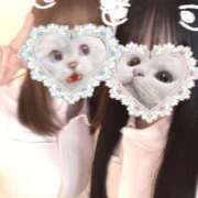 ヒメ日記 2025/10/22 23:20 投稿 はな 熊本しこたまクリニック