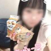 ヒメ日記 2025/10/29 12:30 投稿 はな 熊本しこたまクリニック