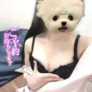 ヒメ日記 2025/11/18 22:20 投稿 はな 熊本しこたまクリニック