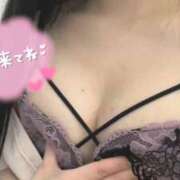 ヒメ日記 2025/12/14 17:20 投稿 はな 熊本しこたまクリニック